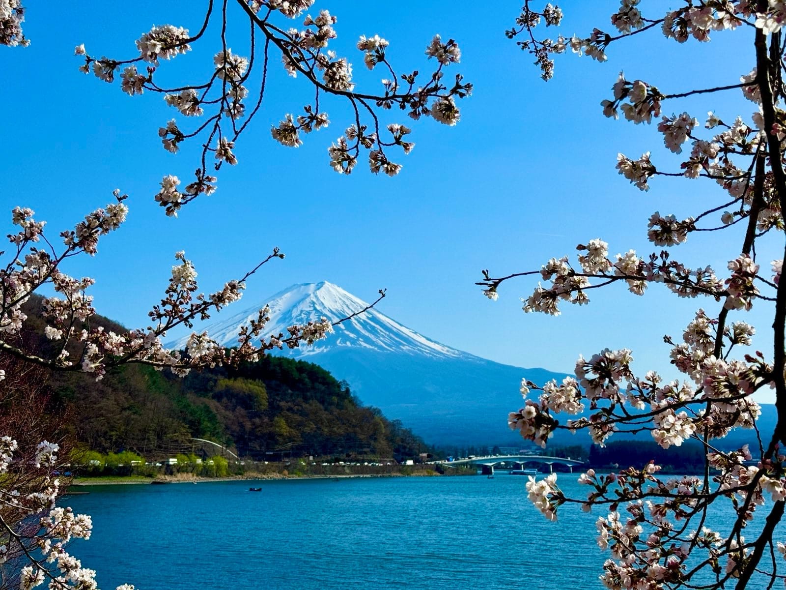 河口湖