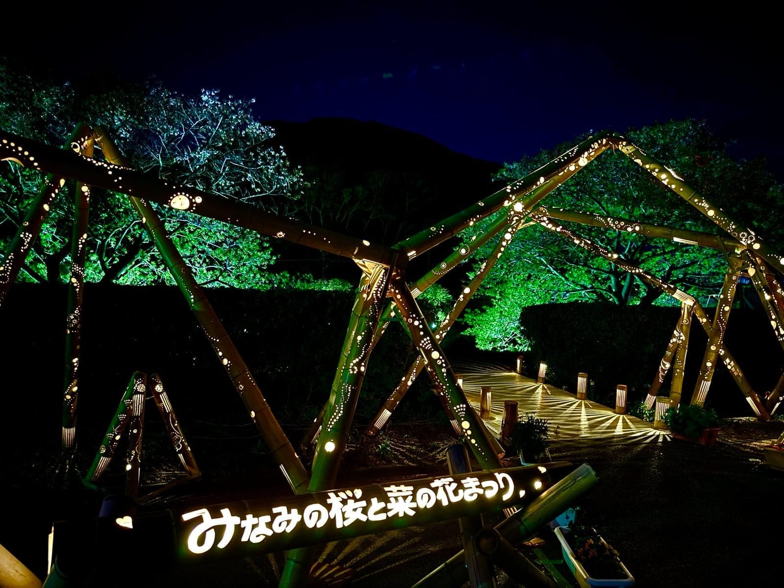 南伊豆夜樱会场亮灯的桥梁