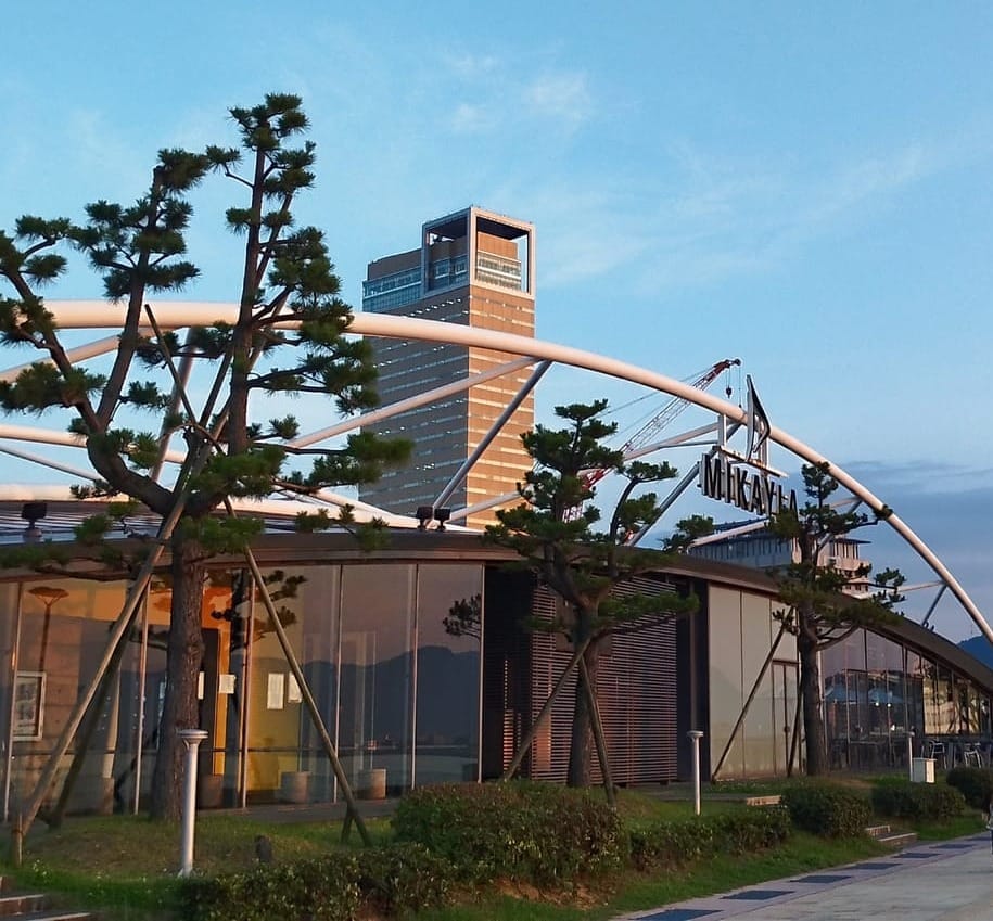 阳光海港的建筑与松树