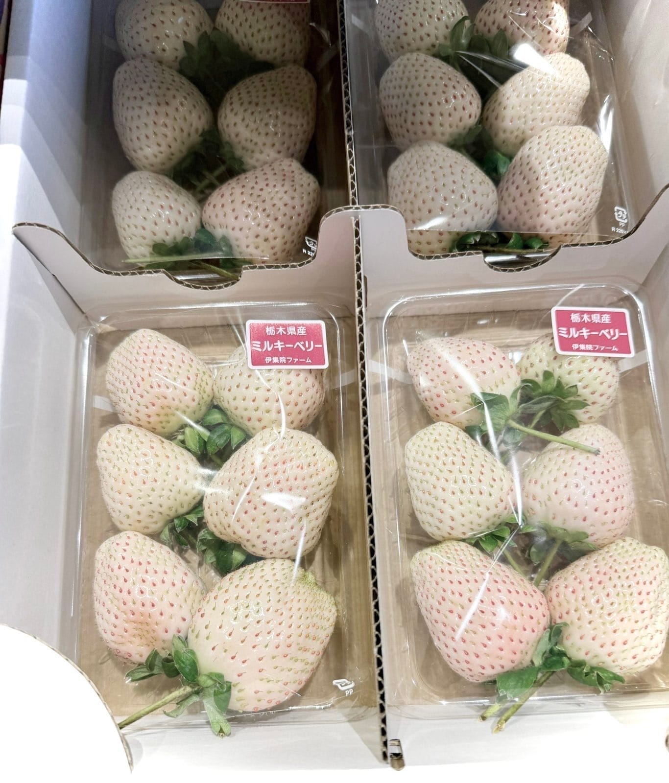 旅行时看到的盒装白草莓