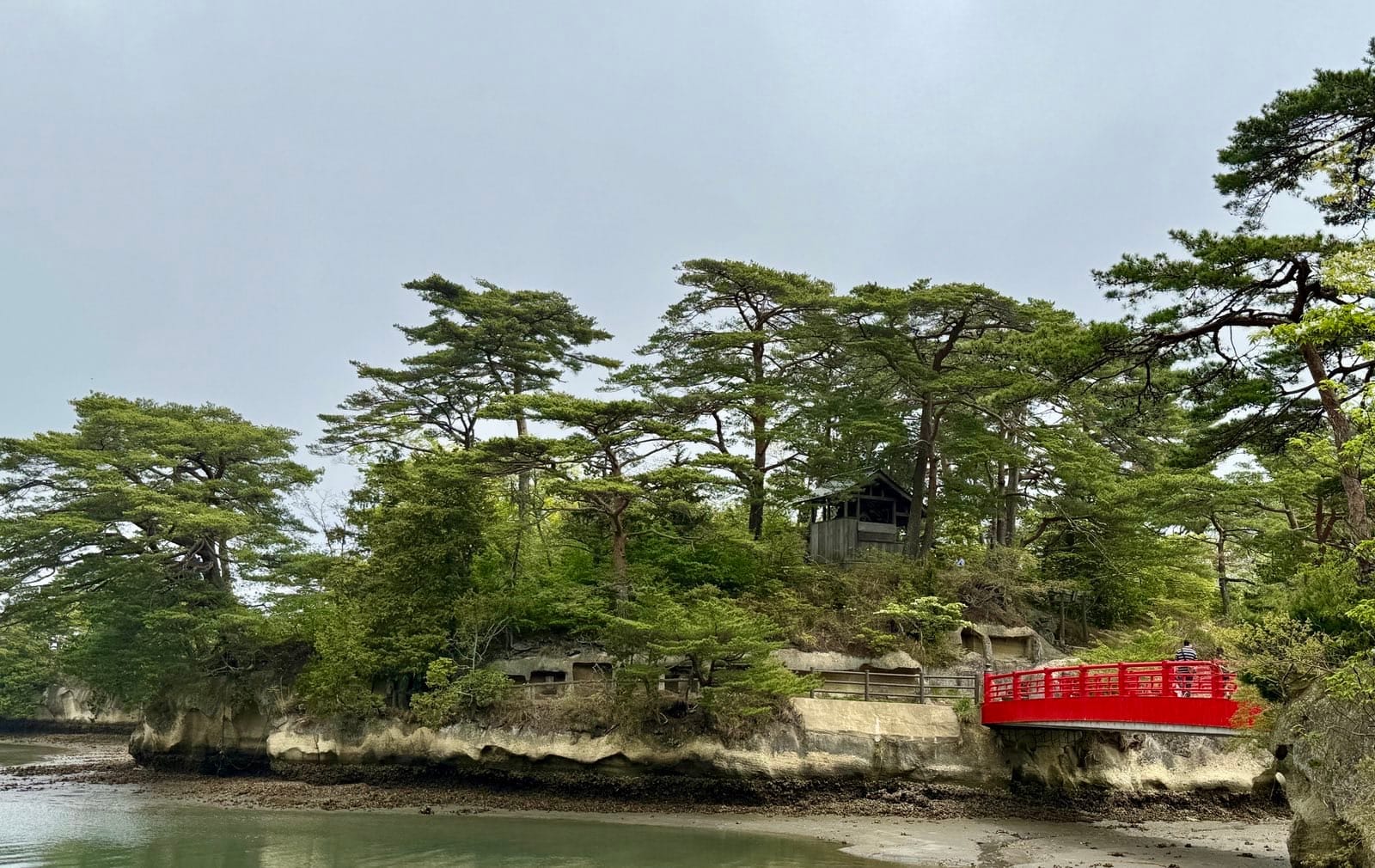 松树覆盖的雄岛与朱红色渡月桥