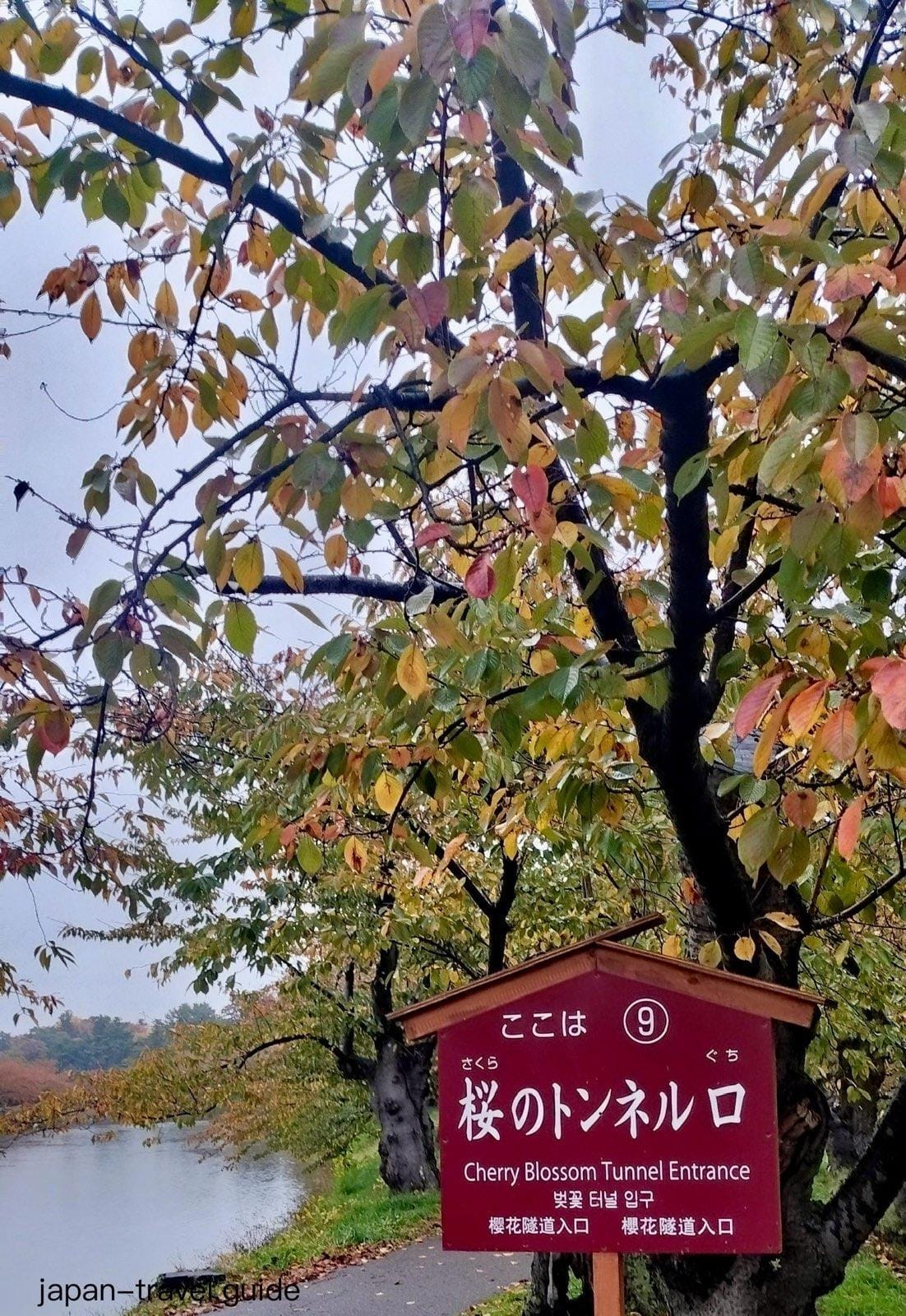 弘前公园樱之小径的指示牌
