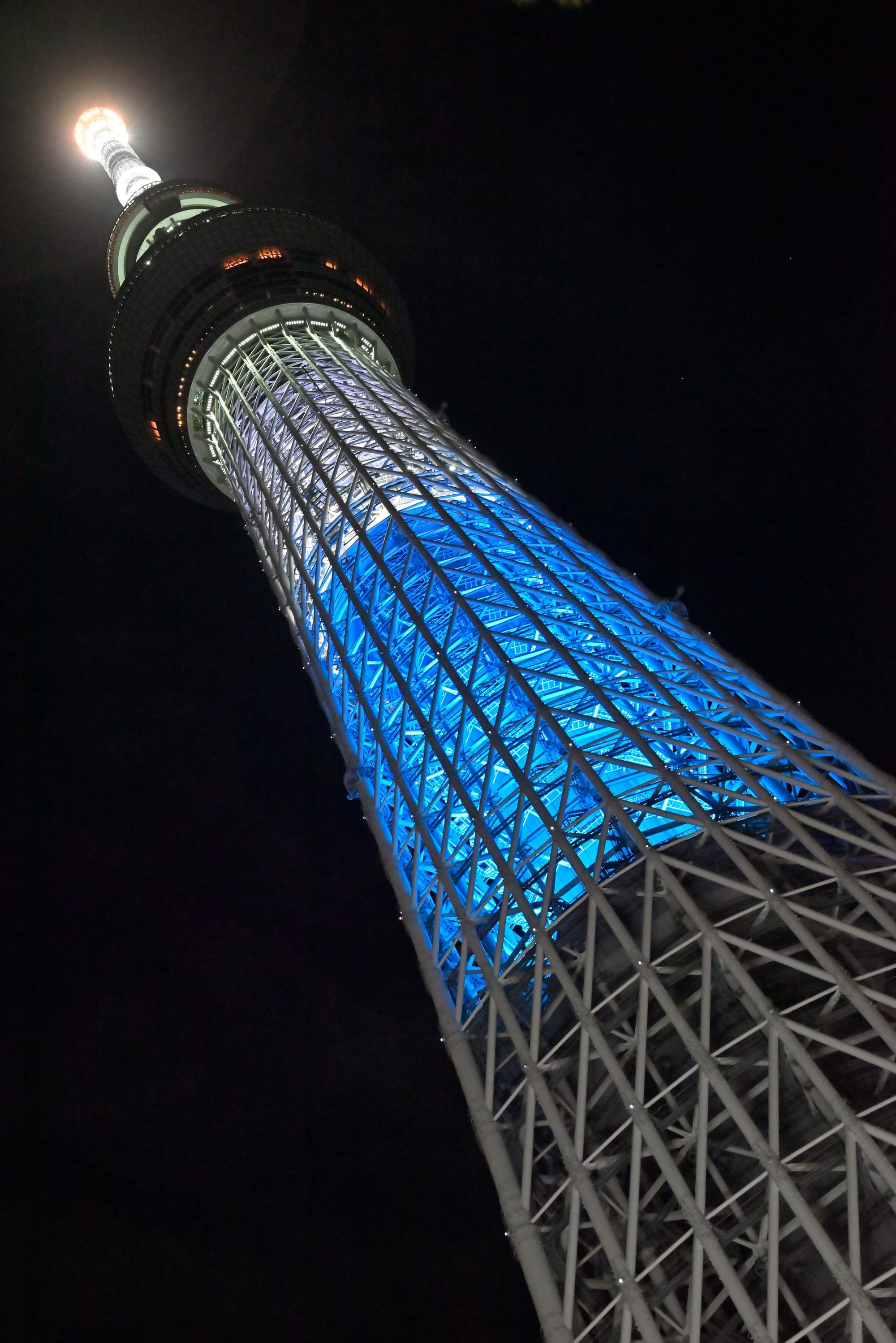 夜空中点亮蓝白色灯光的晴空塔
