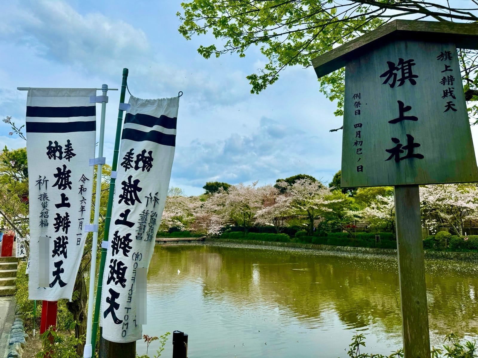 旗上弁财天神社旁的源平池与樱花