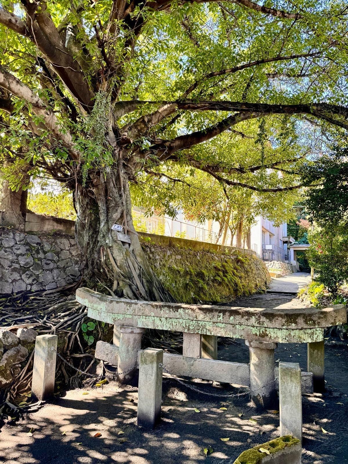 黑神淹没鸟居