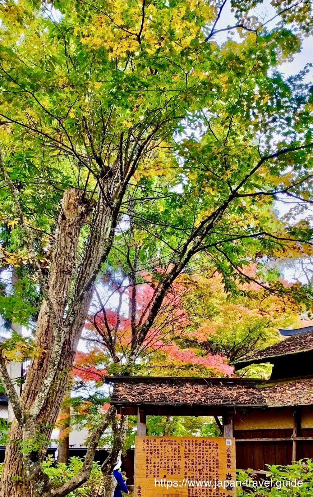 岩桥家宅的木造建筑与庭院,开放范围依现场安排