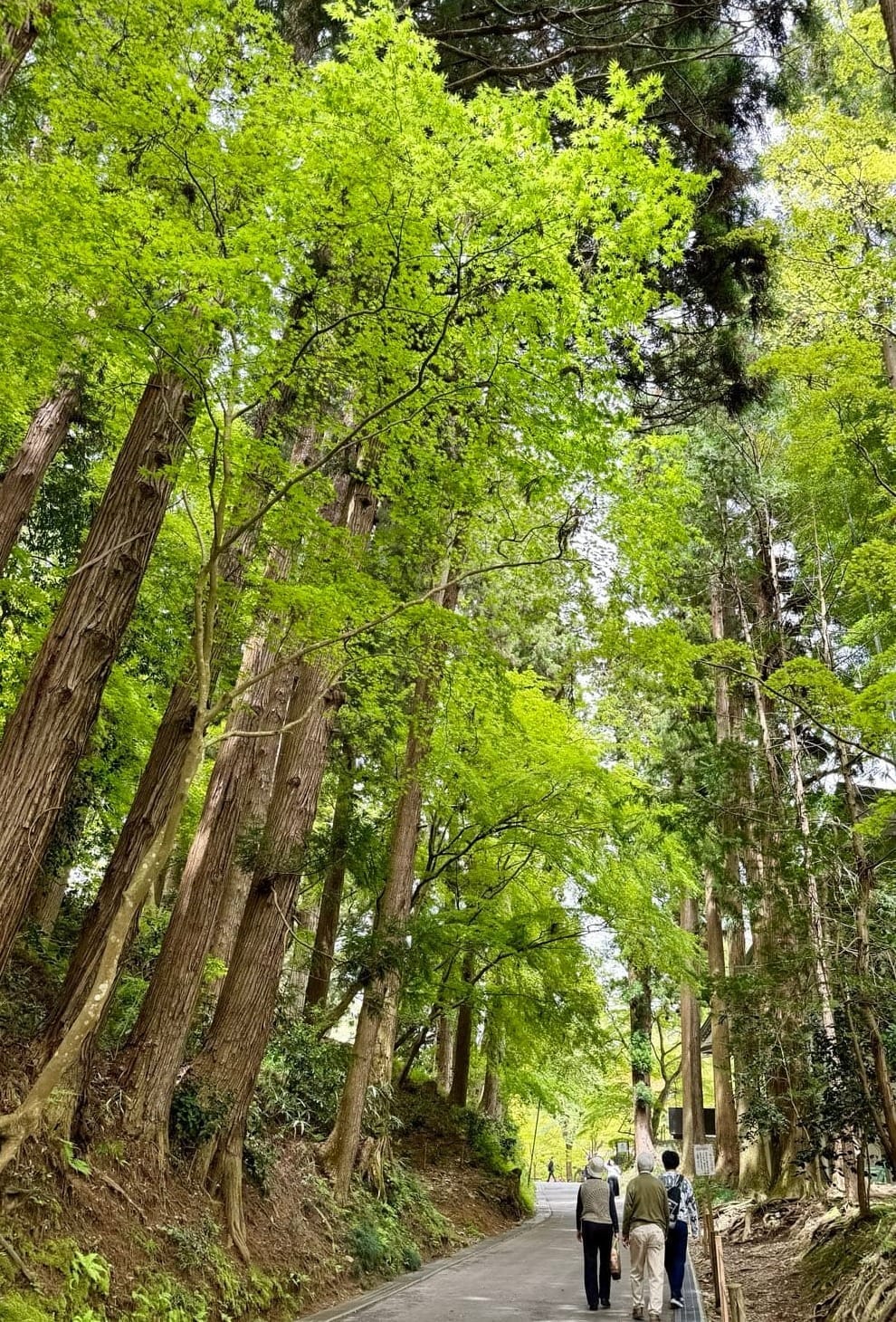 表参道月见坂