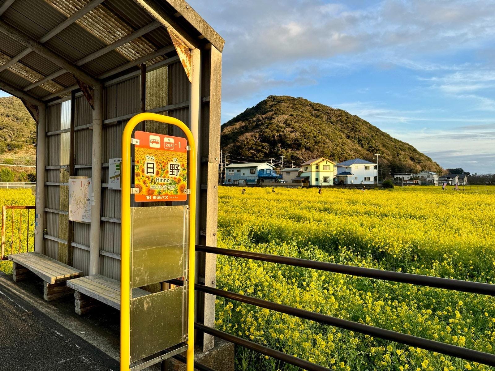 日野菜花田边的巴士站