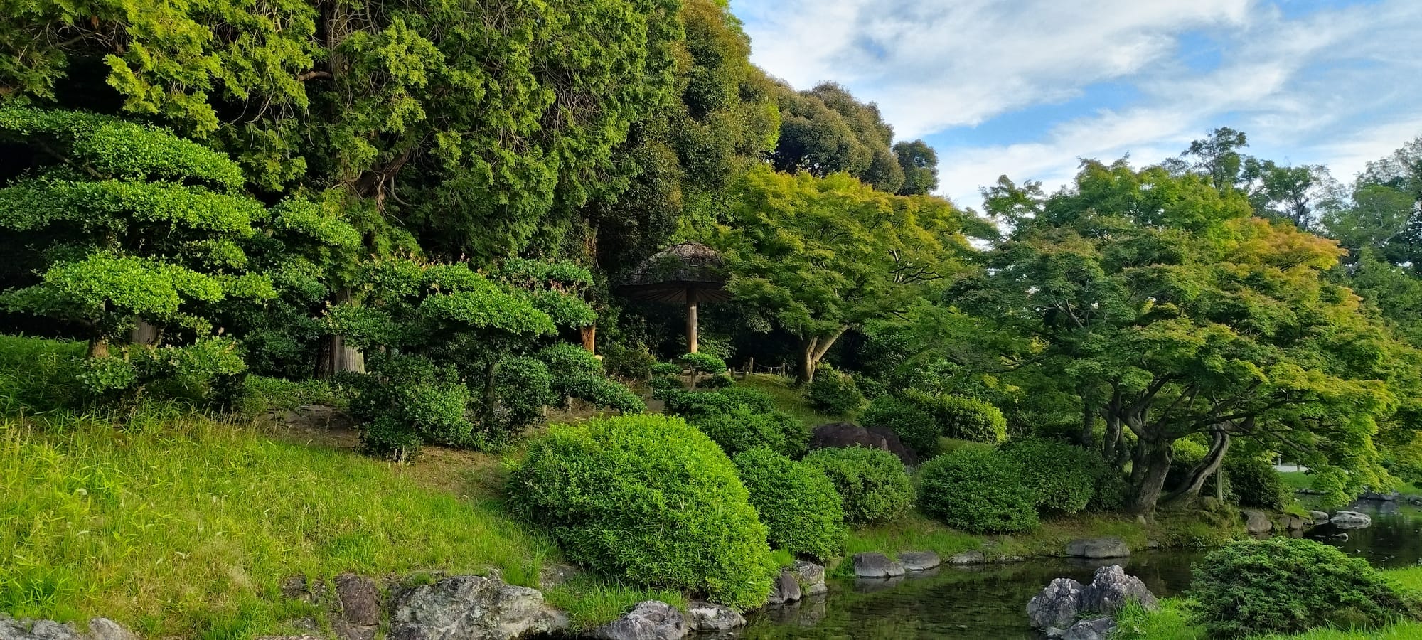 绿树之间的池塘与石景