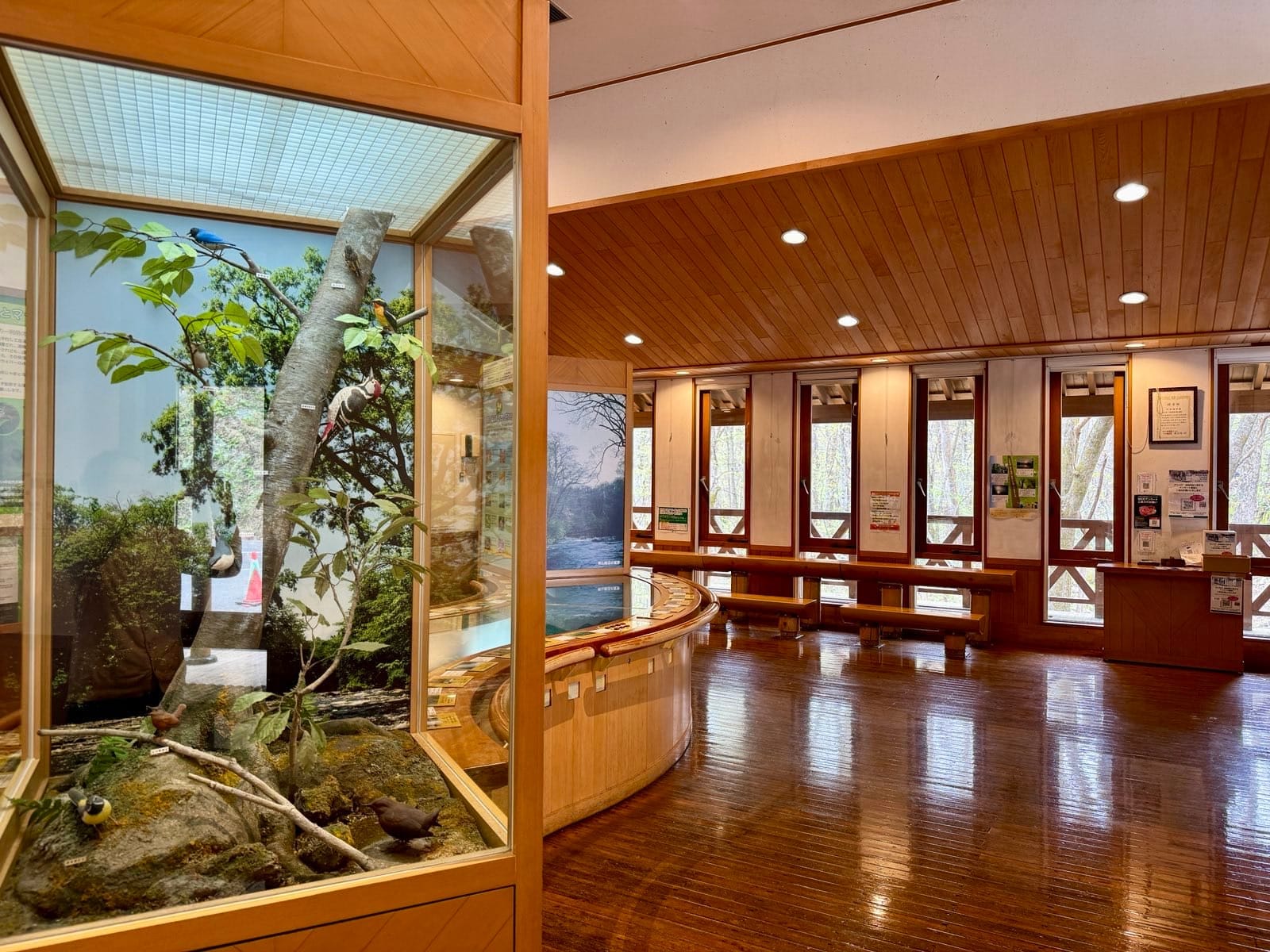 石户休息处内的展览与树木展示