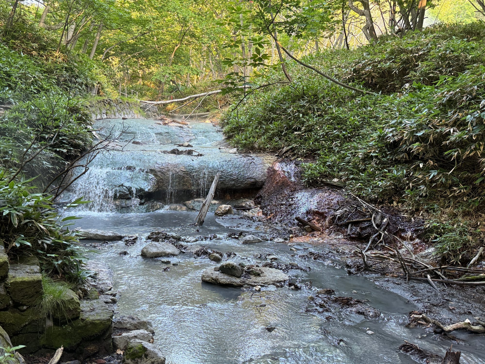 大汤沼河