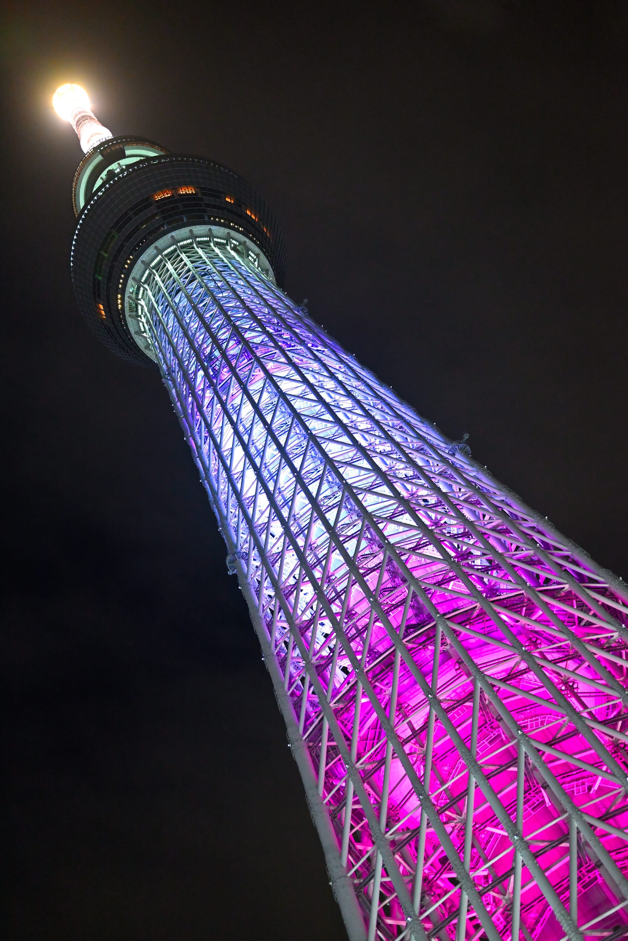 晴空塔《原神》联动的紫色与粉红色照明