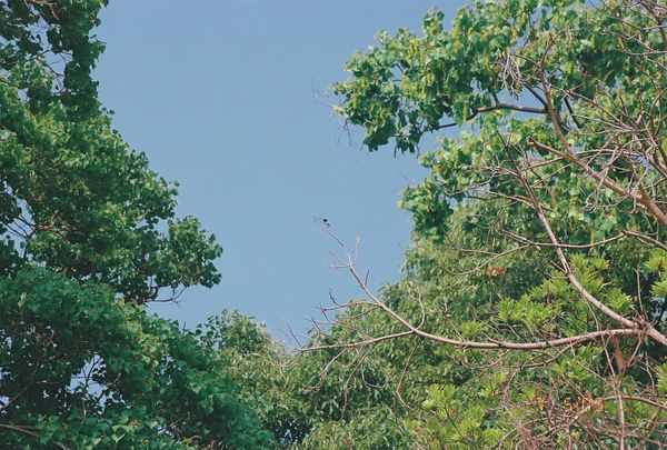 Obsidianでデータベースが使えるぞ！