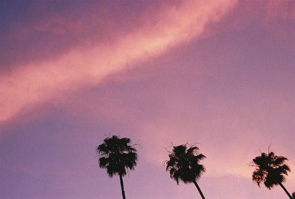 Realforceのアップデートで文鎮化して焦った話