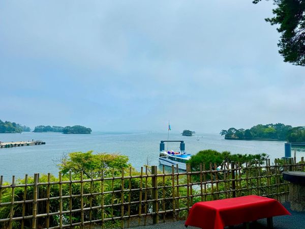 松岛湾岸的游览船、海面与松树