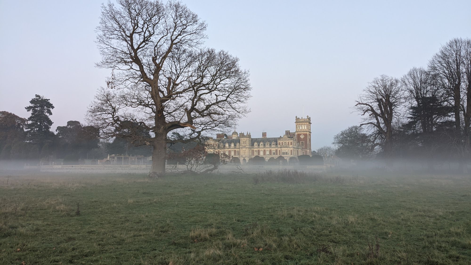 The grand plan to rewild Somerleyton Estate – including the return of the lynx