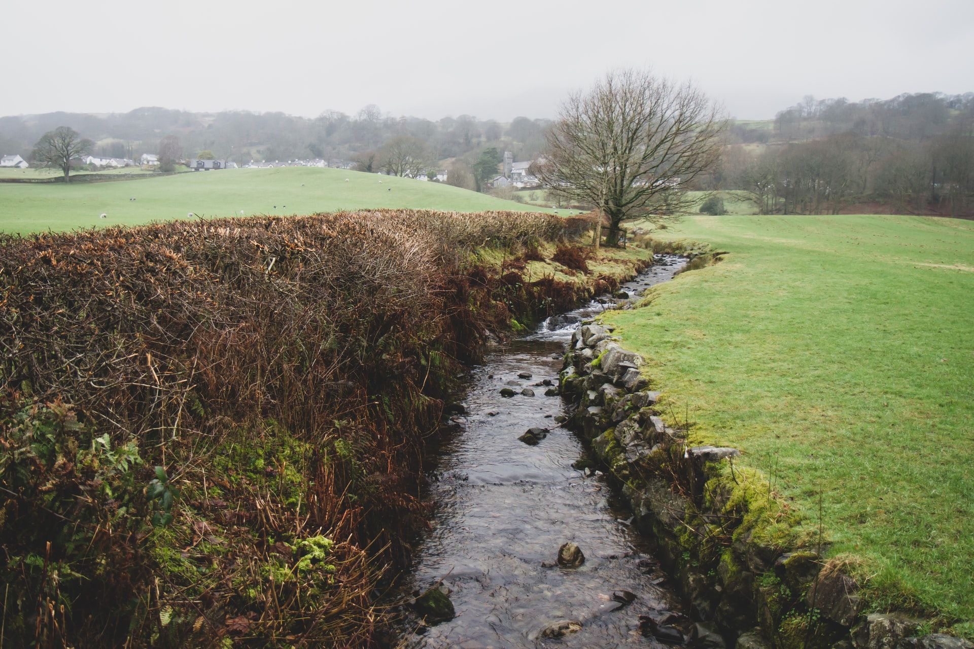 Can hedgelaying survive the 21st century?