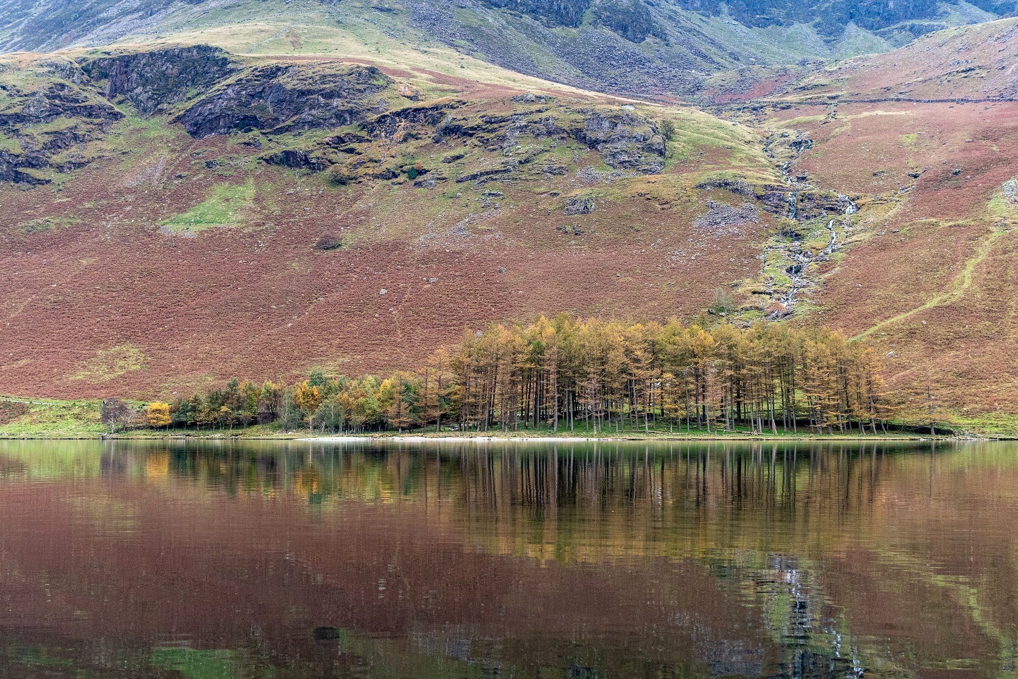 Common Land & Rewilding Amnesia