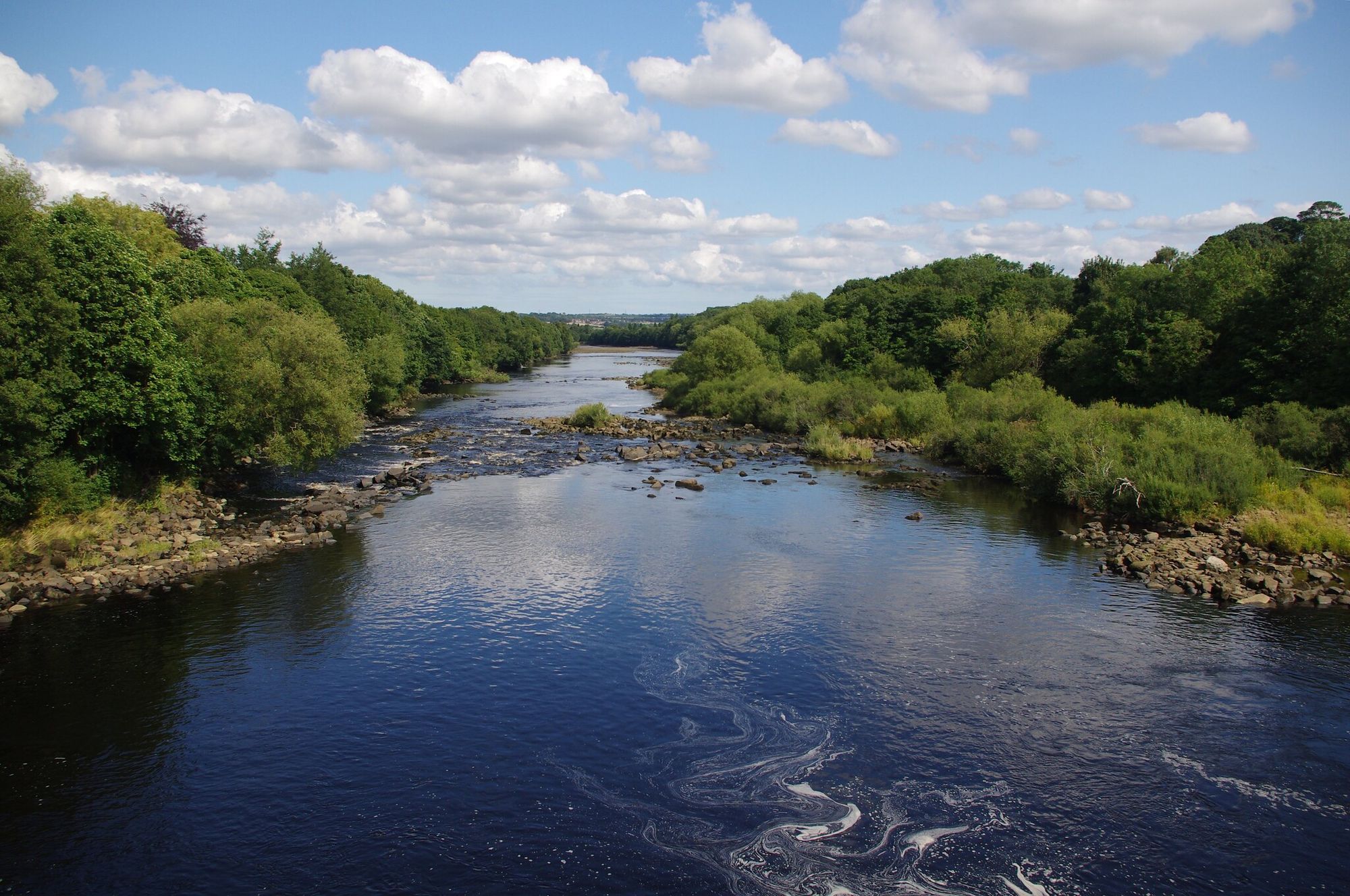 Biodiversity Net Gain & River Pollution