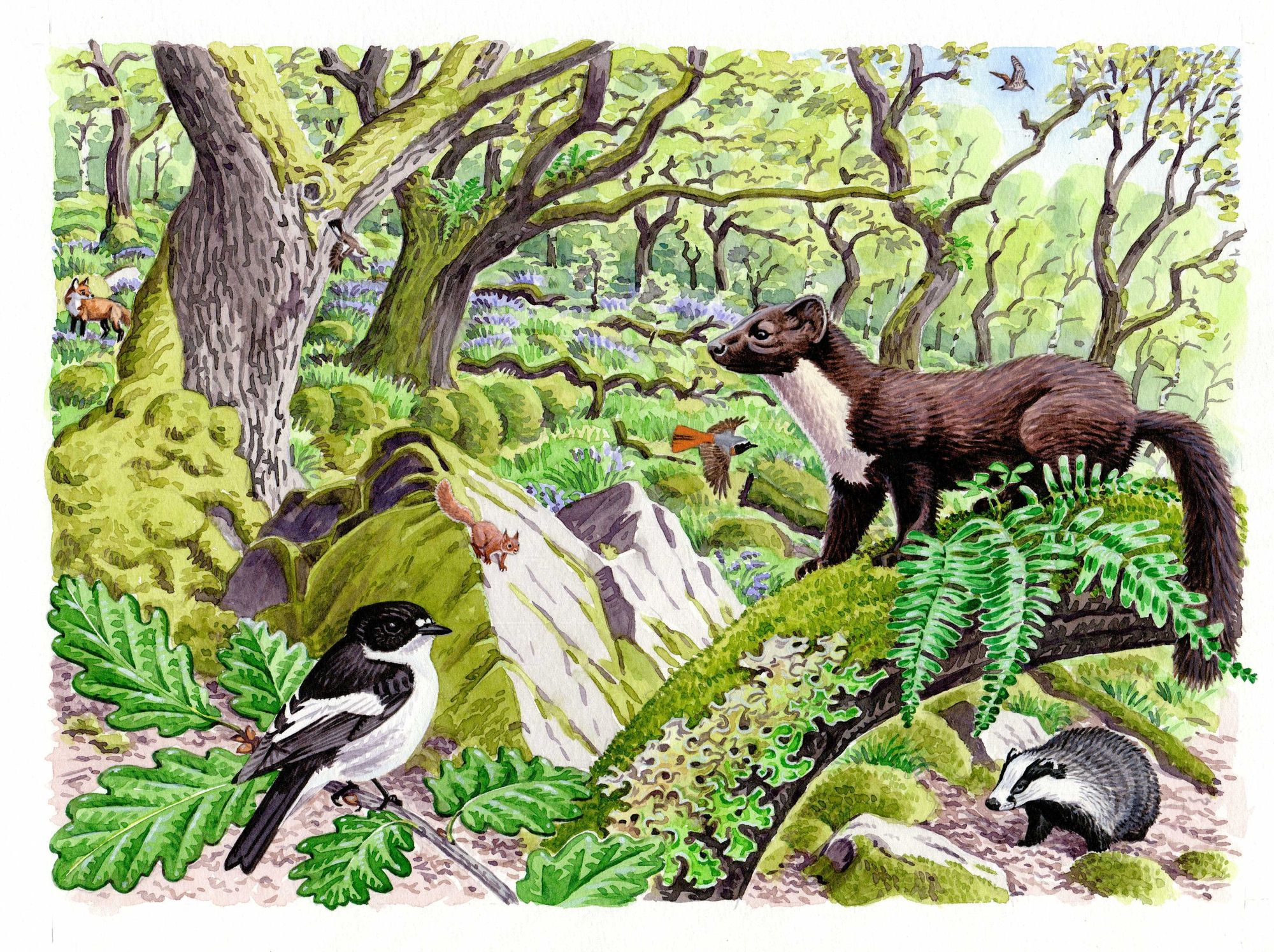 A Future For The Lakes