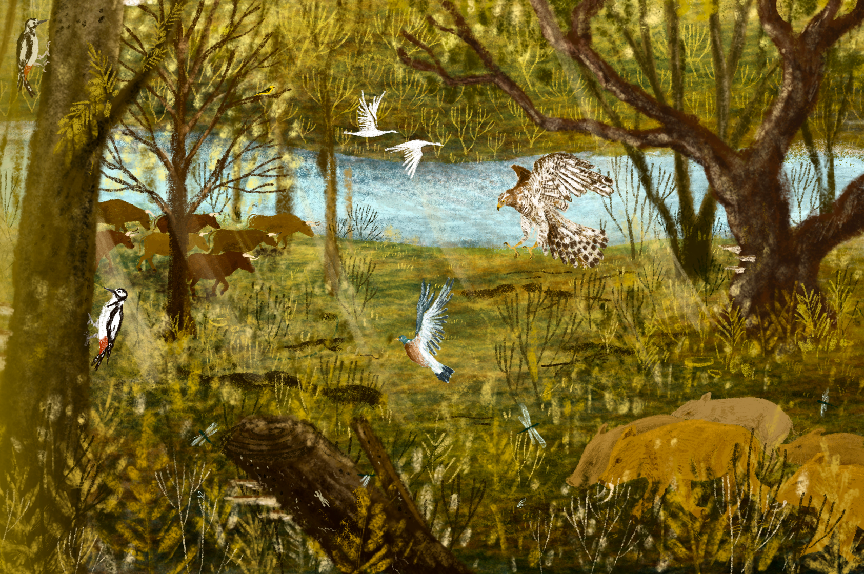 Six thousand years of forests