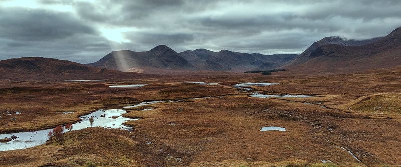 Wildlife Legislation & IPCC Report