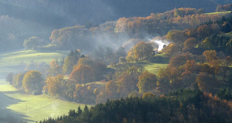 New National Park & Psychedelic Connection