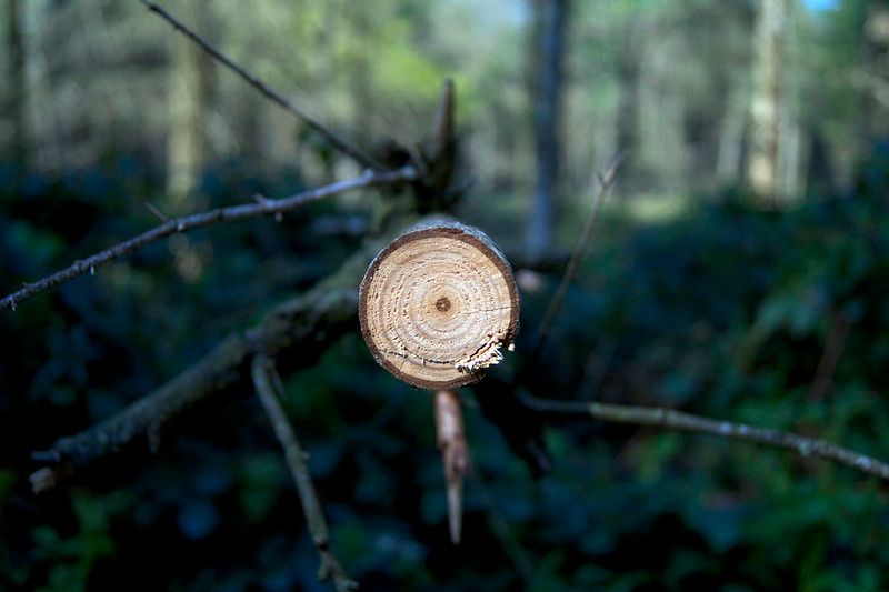 HS2 Cancellation & Farm-Free Future