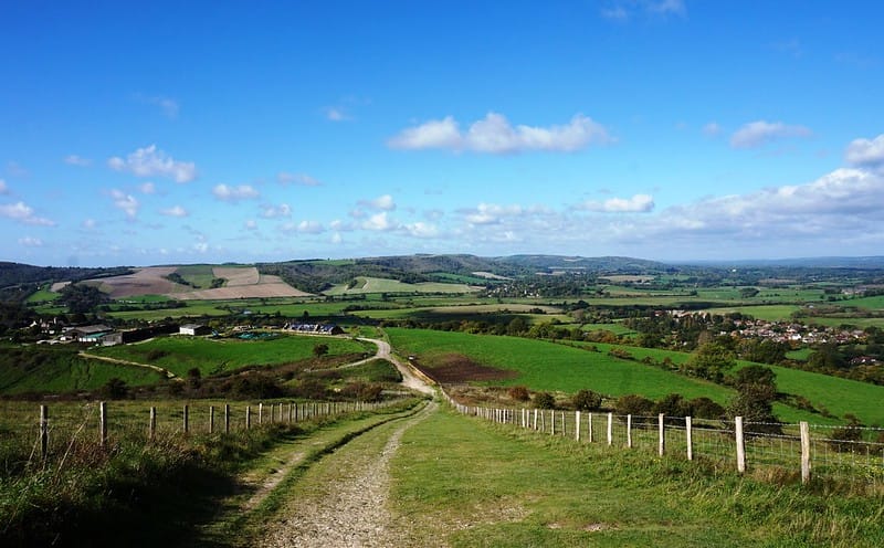 Right to Roam & Wild Boar