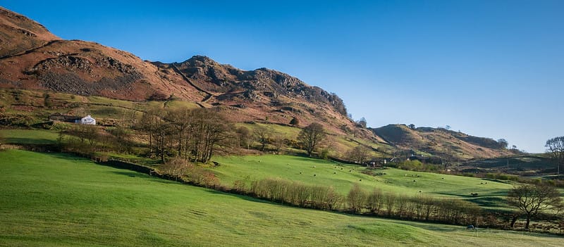 Support for Farmers & Defining Rewilding