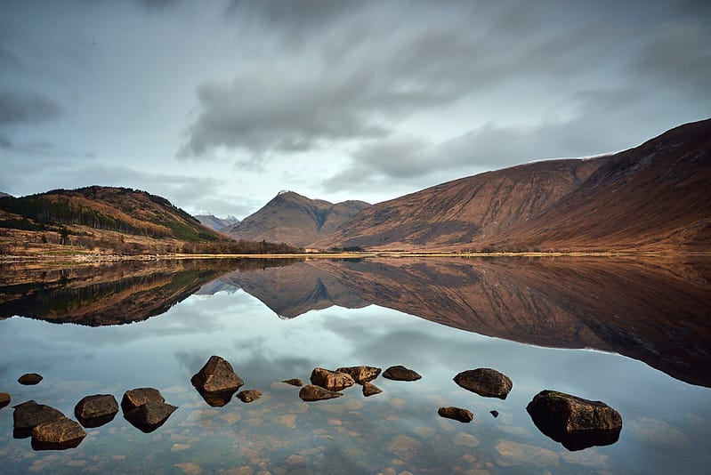 Climate Targets & Truffle Dilemma