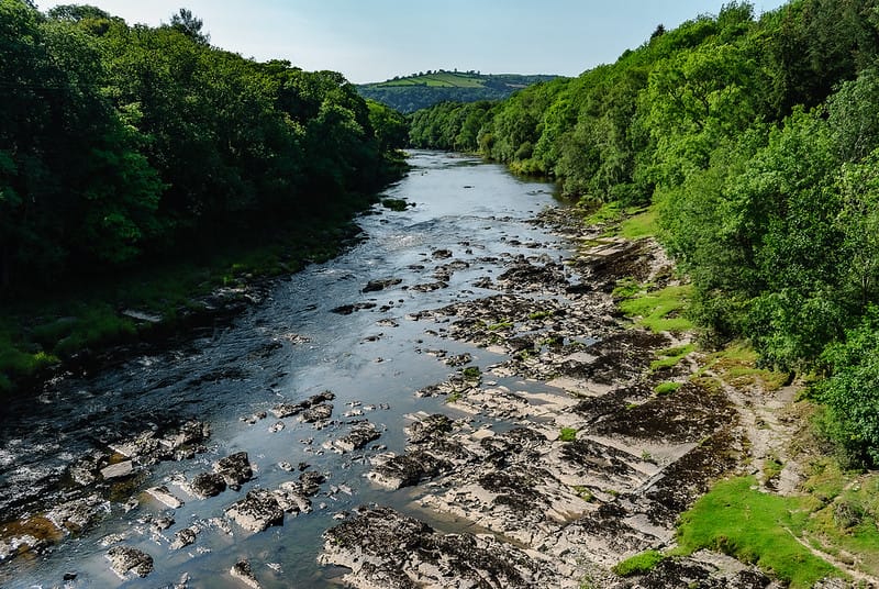 River Wye & Candlelight Rhubarb