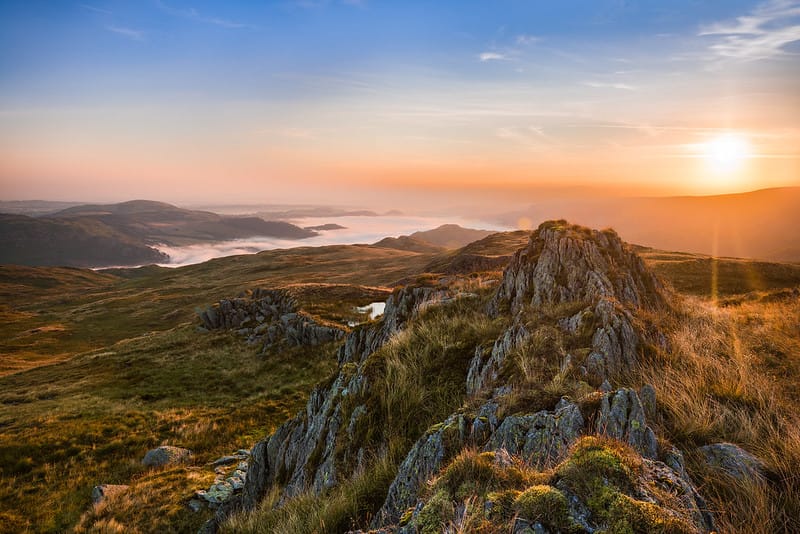 Labour Victory & How Conservationists Reacted