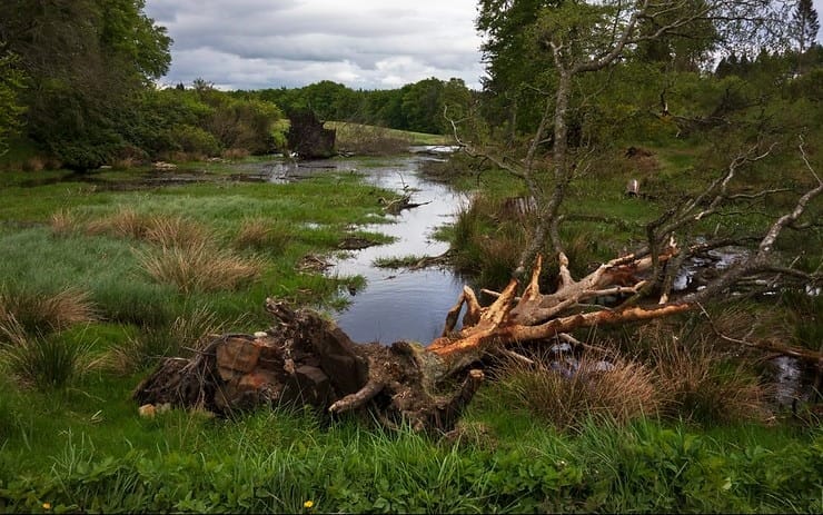 Funding Fury & Beaver Benefits