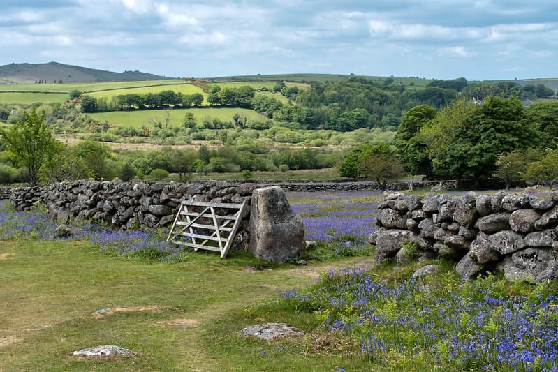 Dartmoor Lawsuit & 'Aurochs' Reintroduction