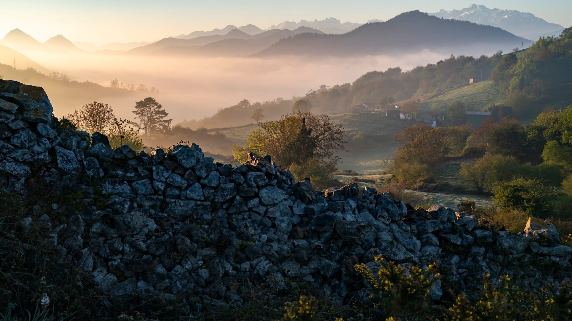 'We were the wolves': How we bought and rewilded an ex-dairy farm in Spain