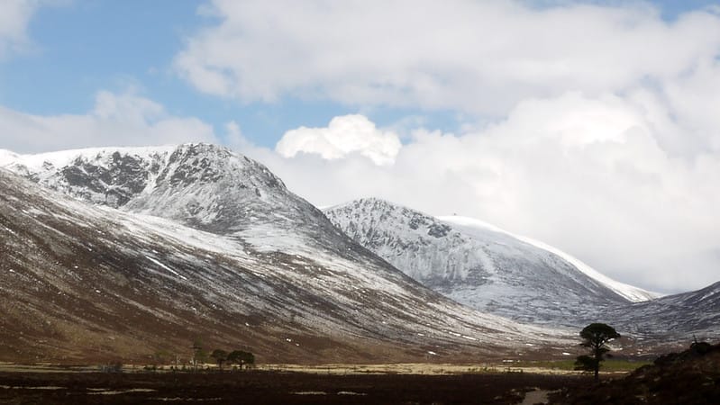Crown Estate Nature & Cairngorms Recovery