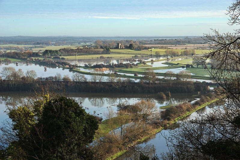 Rights of Nature & Prehistoric Ponds