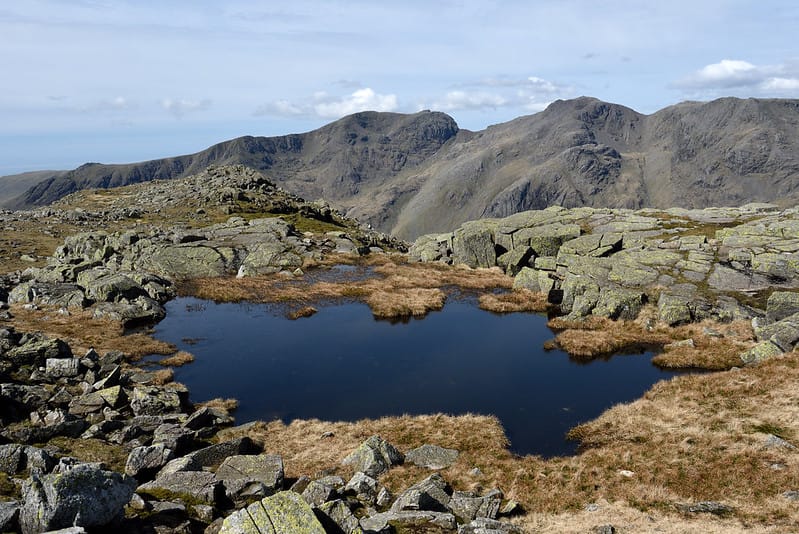 National Parks & Yorkshire Waxcaps