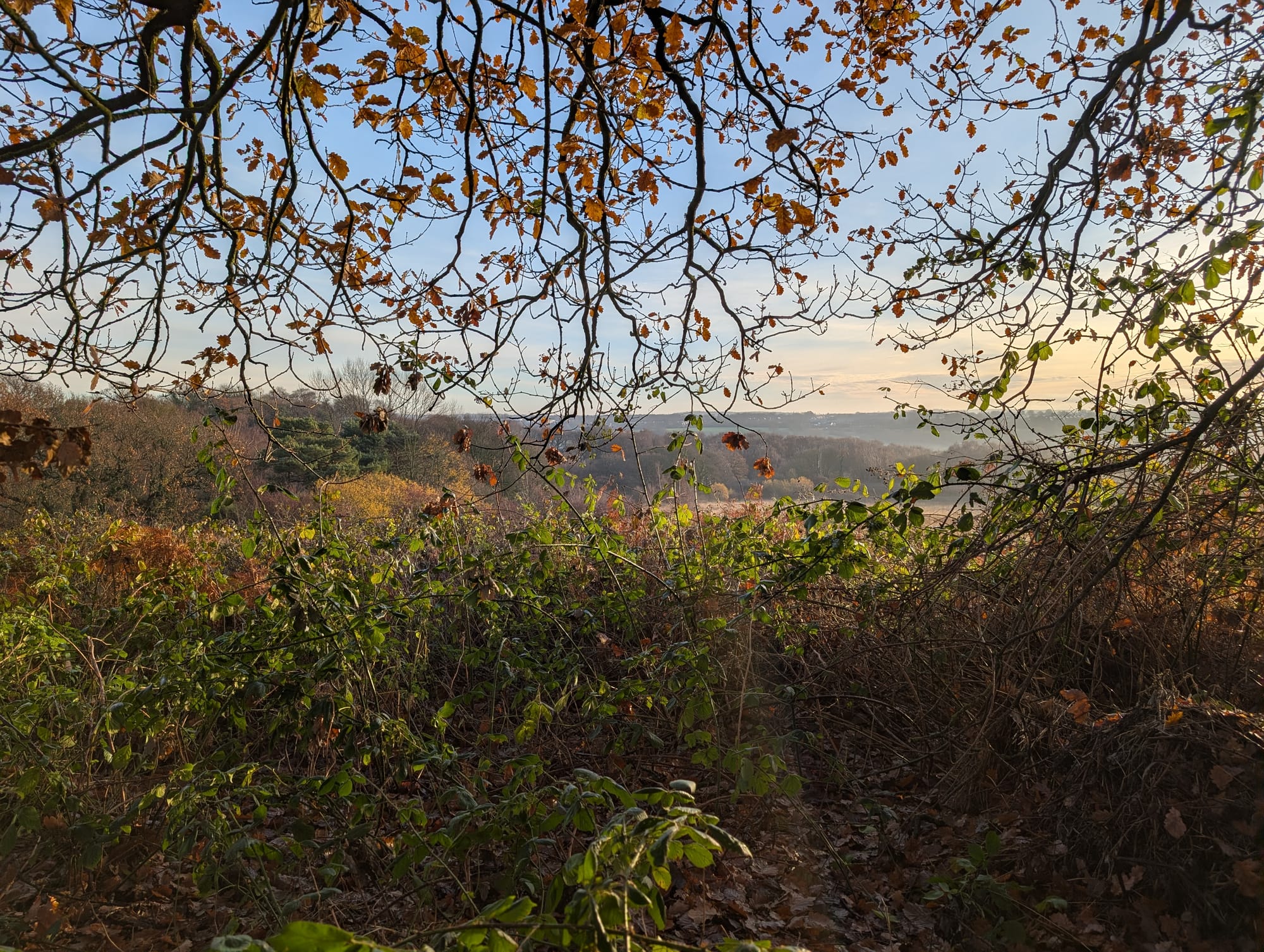 National Security & Habitat Decline