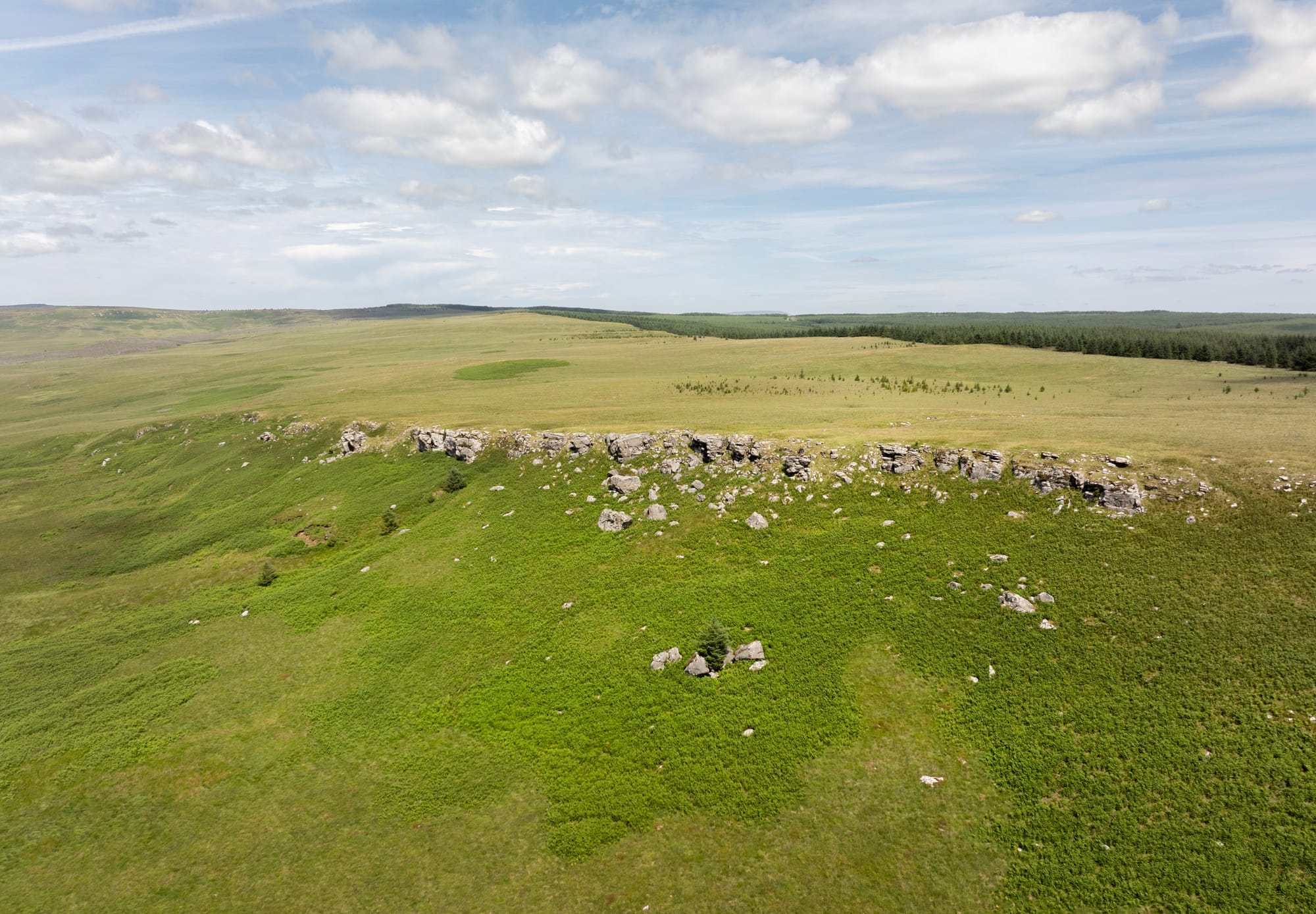 As expanse of featureless upland, with a plantation on the border.