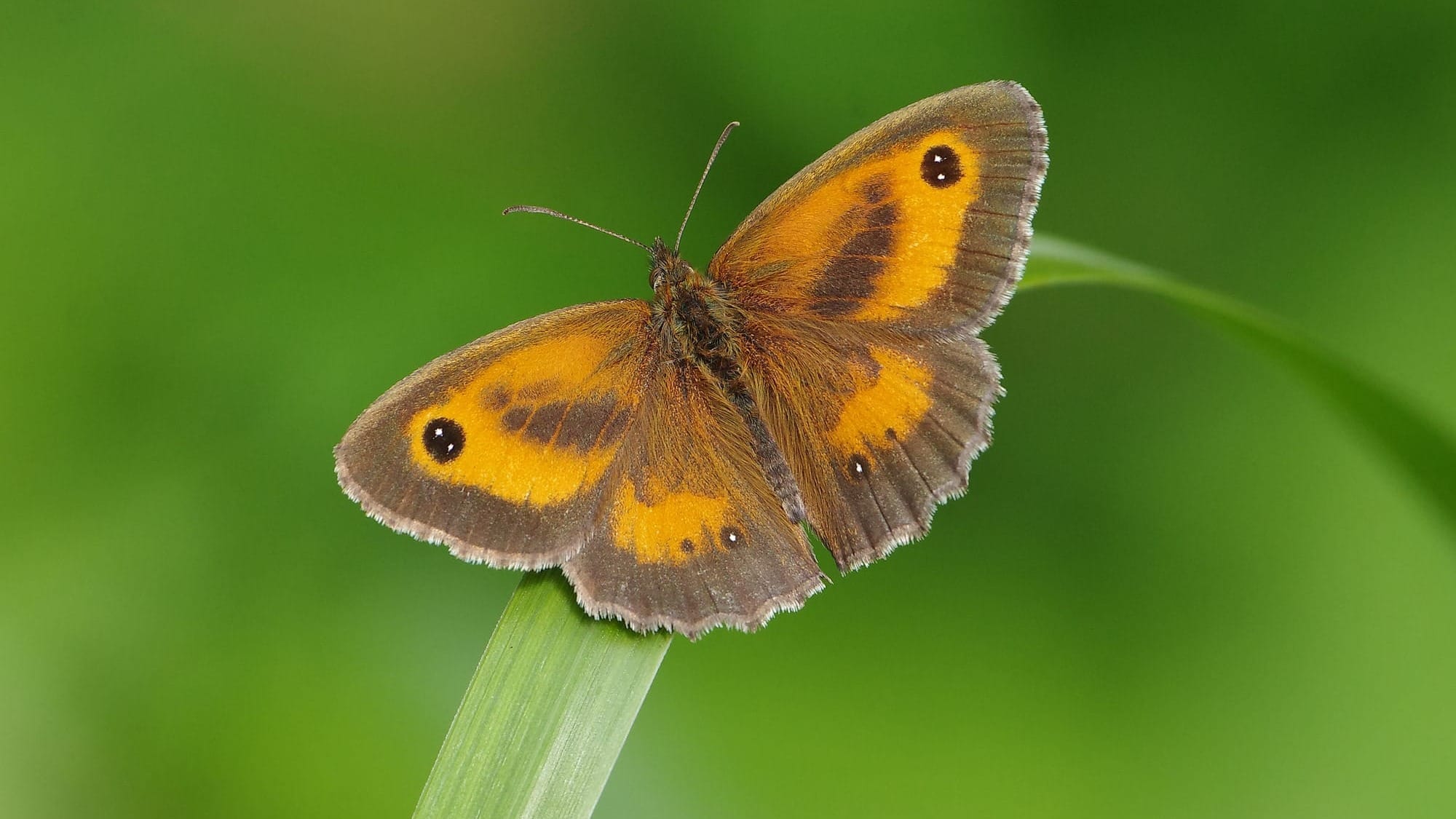 The best nature books of 2026