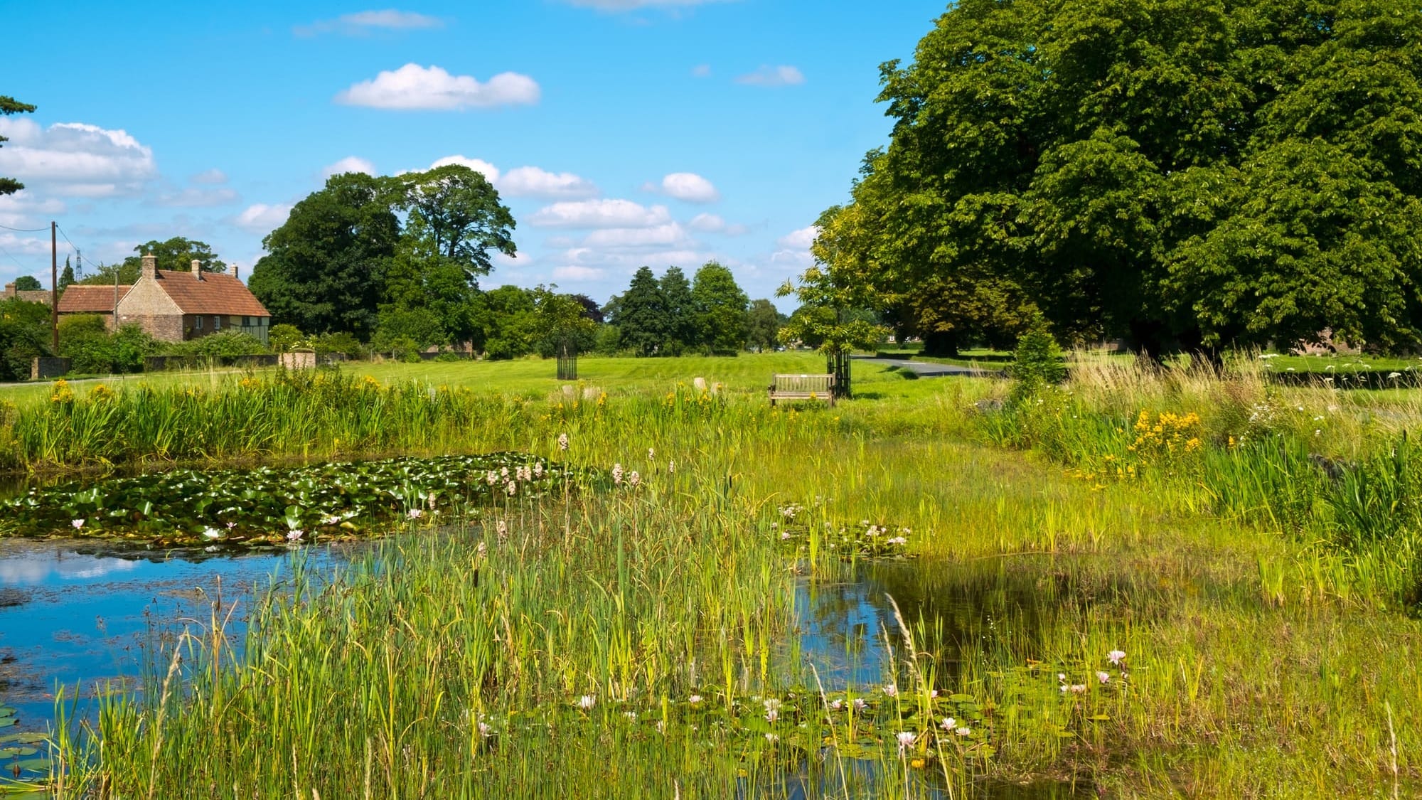 The Village Green Preservation Society