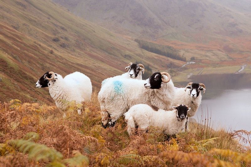 Lee Schofield: the complete transcript