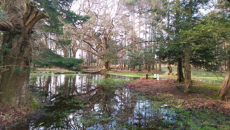 Benedict Macdonald had a vision. Now, he has a plan.