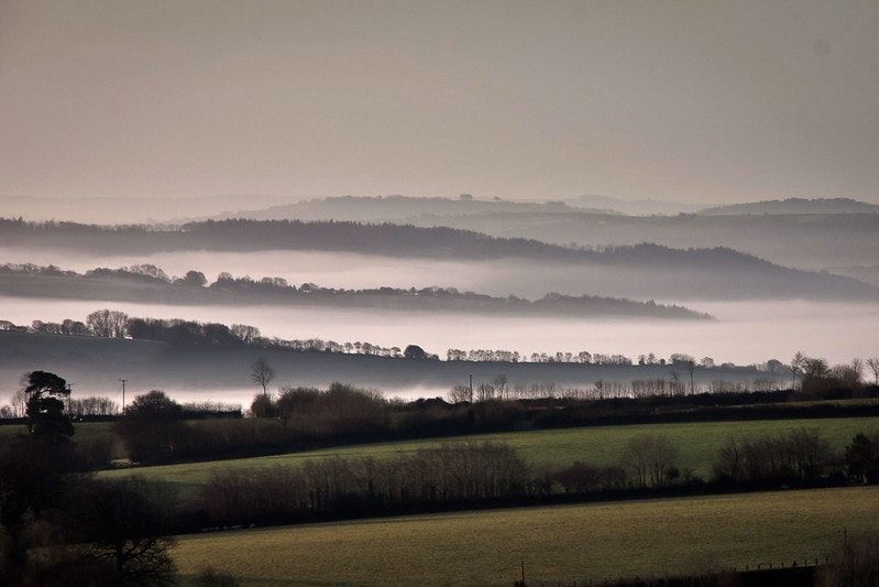 Nature Recovery Network & Wild Exmoor