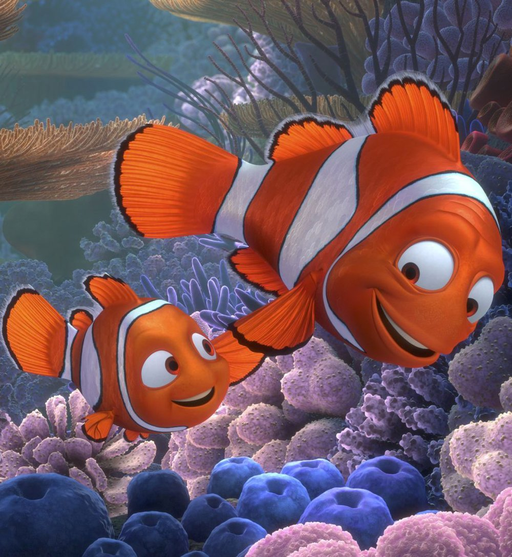 《海底總動員》法語學習：精選片段，趣味掌握實用法語口語，精選高頻口語表達，提升語感