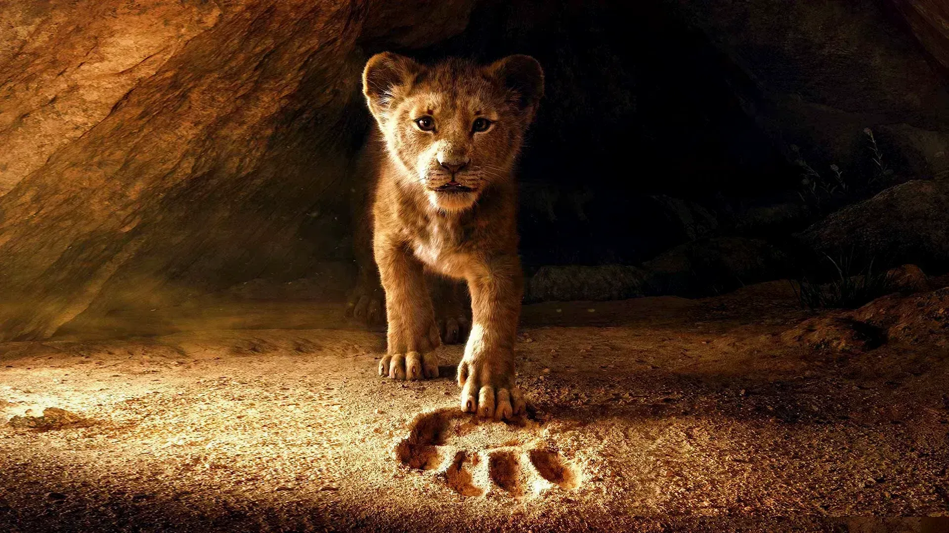 【看电影学英文】The Lion King 🎬 狮子王