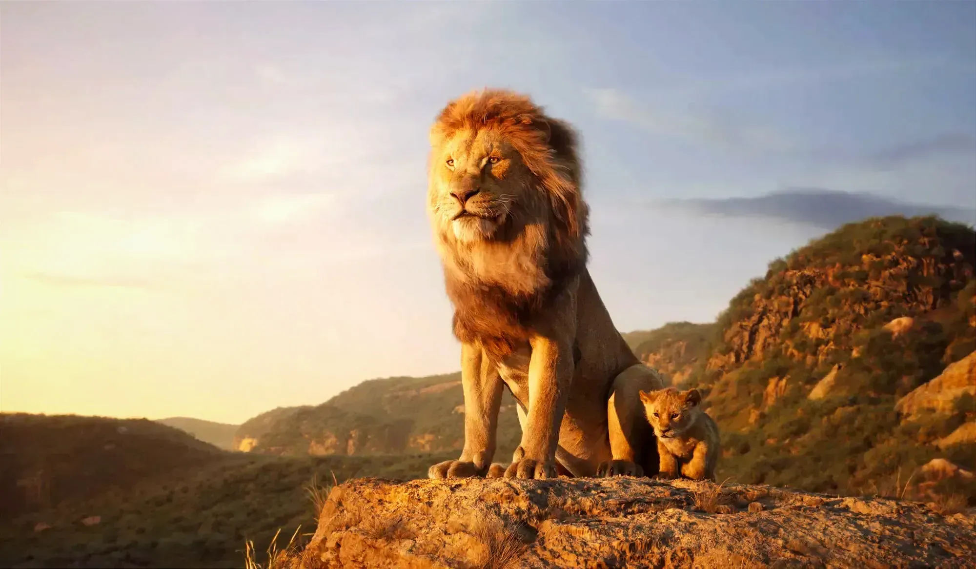 【看电影学英文】The lion king 🦁 狮子王 Part 2