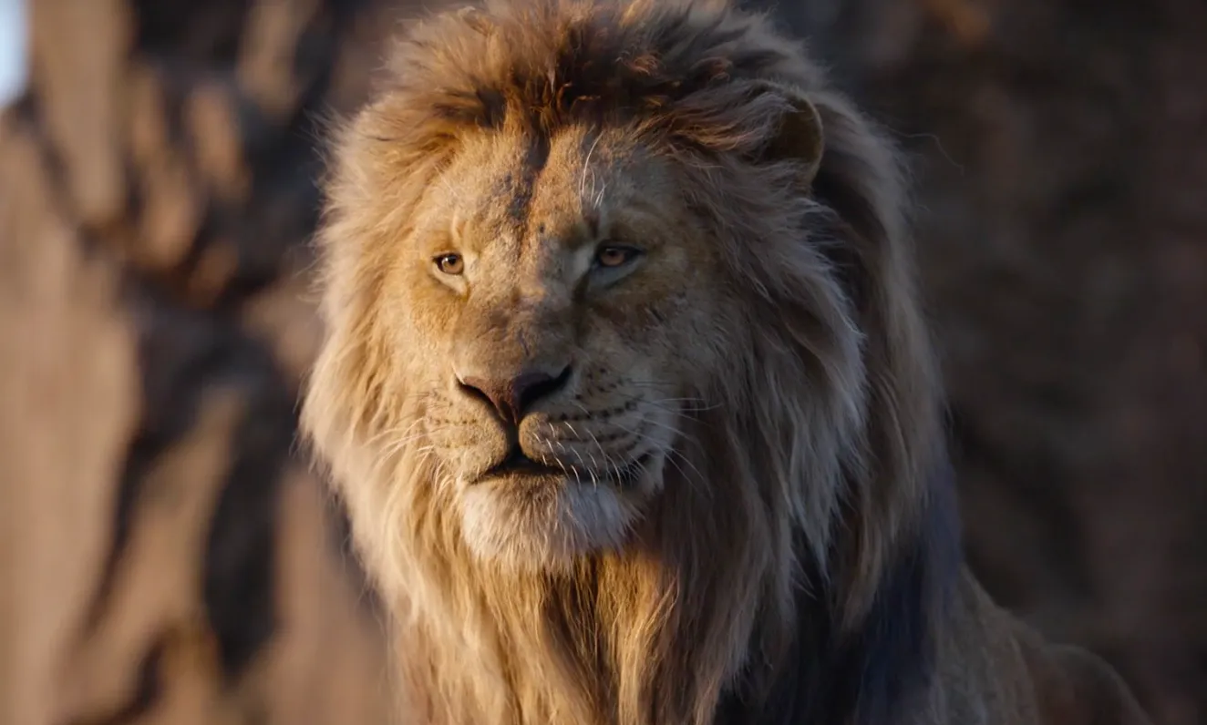 【看电影学英文】The lion king 🦁 狮子王 Part 2